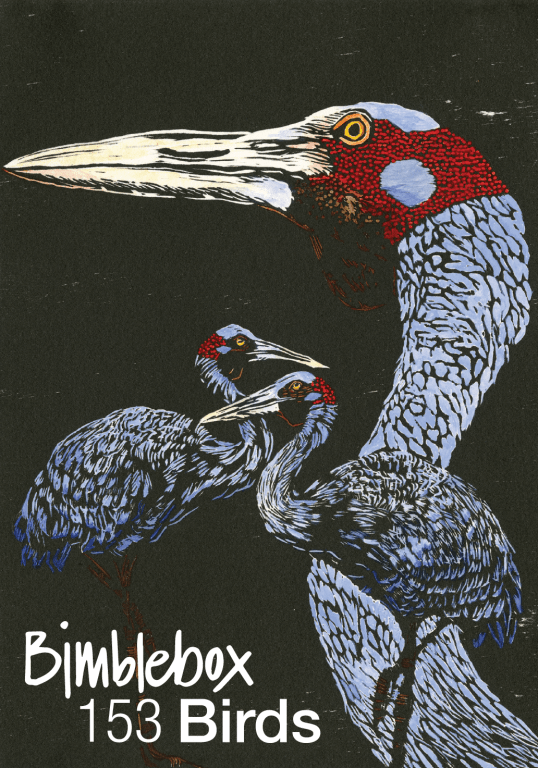 Screen Shot 2019-02-18 at 10.24.29 pm