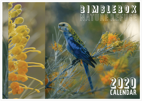 Screen Shot 2020-01-08 at 9.59.36 am.png